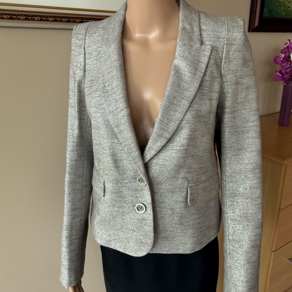 Juicy Couture Metallic Gray Beige Blazer